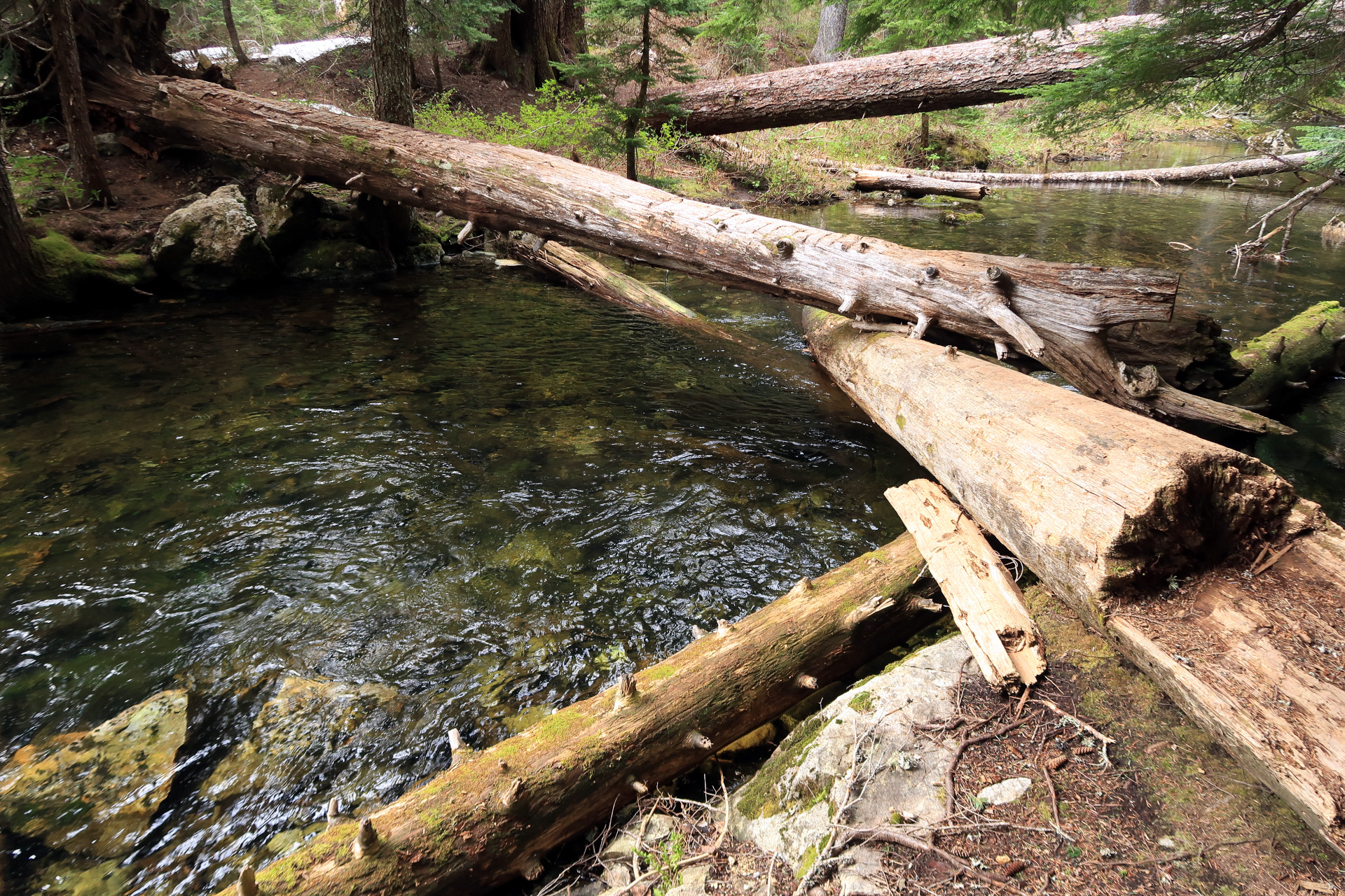Mount Catherine, Mirror Lake via the Pacific Crest Trail (PCT),